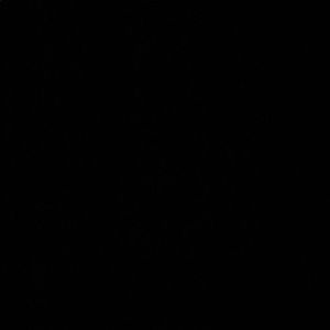 Meet your Posher, Meyer